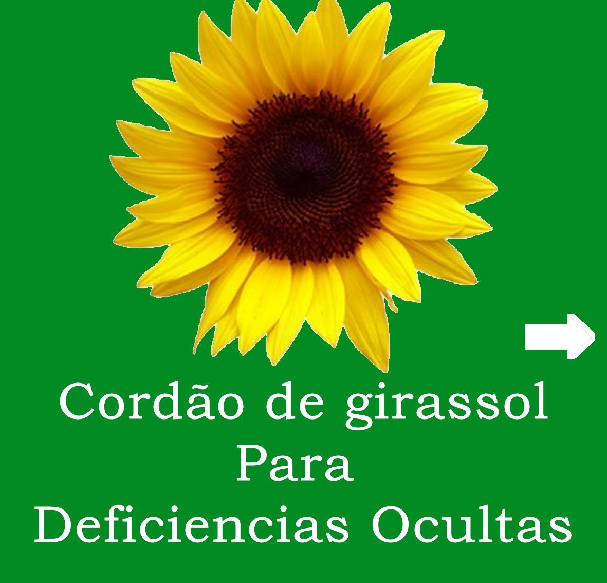 Informativo Sobre Deficiências Ocultas